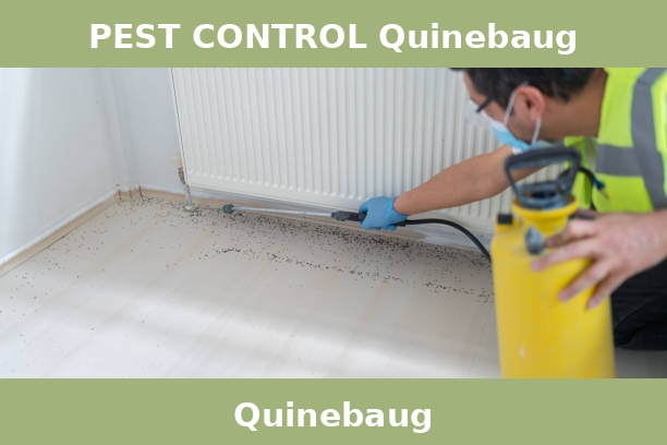 PEST CONTROL Quinebaug